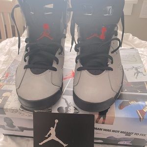 Mens Jordan Championship 6s